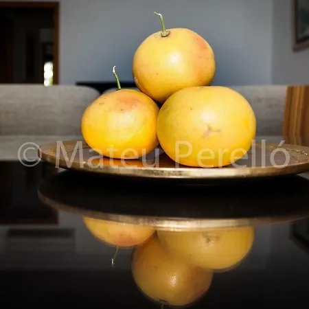 Can Parrago בית נופש